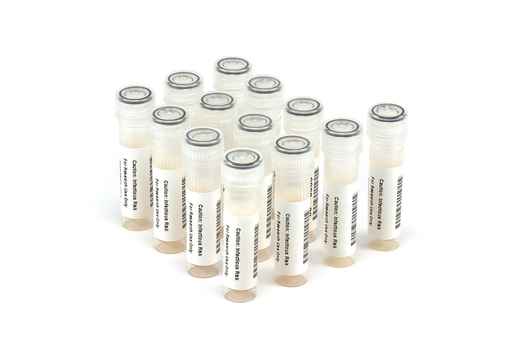 6502 HBV Longitudinal Panel (13x 1.0 ml)