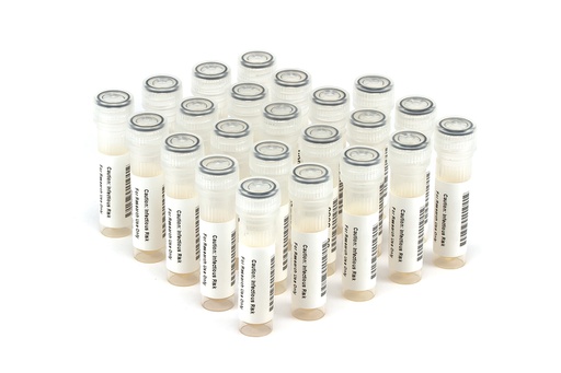 [HBV11009] HBV11009 HBV Seroconversion Panel Donor n. 67449