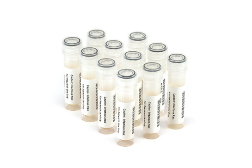 [HBV11056] HBV11056 HBV Seroconversion Panel Donor n. 72474