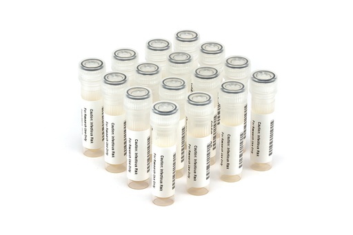 [HCV10029] HCV10029 HCV Seroconversion Panel Donor n. 67539