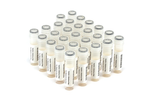 [HIV9077] HIV9077 HIV Seroconversion Panel Donor n. 75018