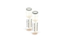 KZMC035 Adenovirus Rapid Test Control Pack