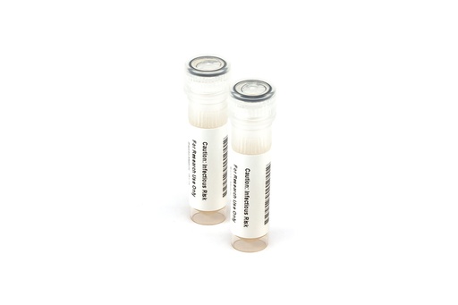 [KZMC035] KZMC035 Adenovirus Rapid Test Control Pack